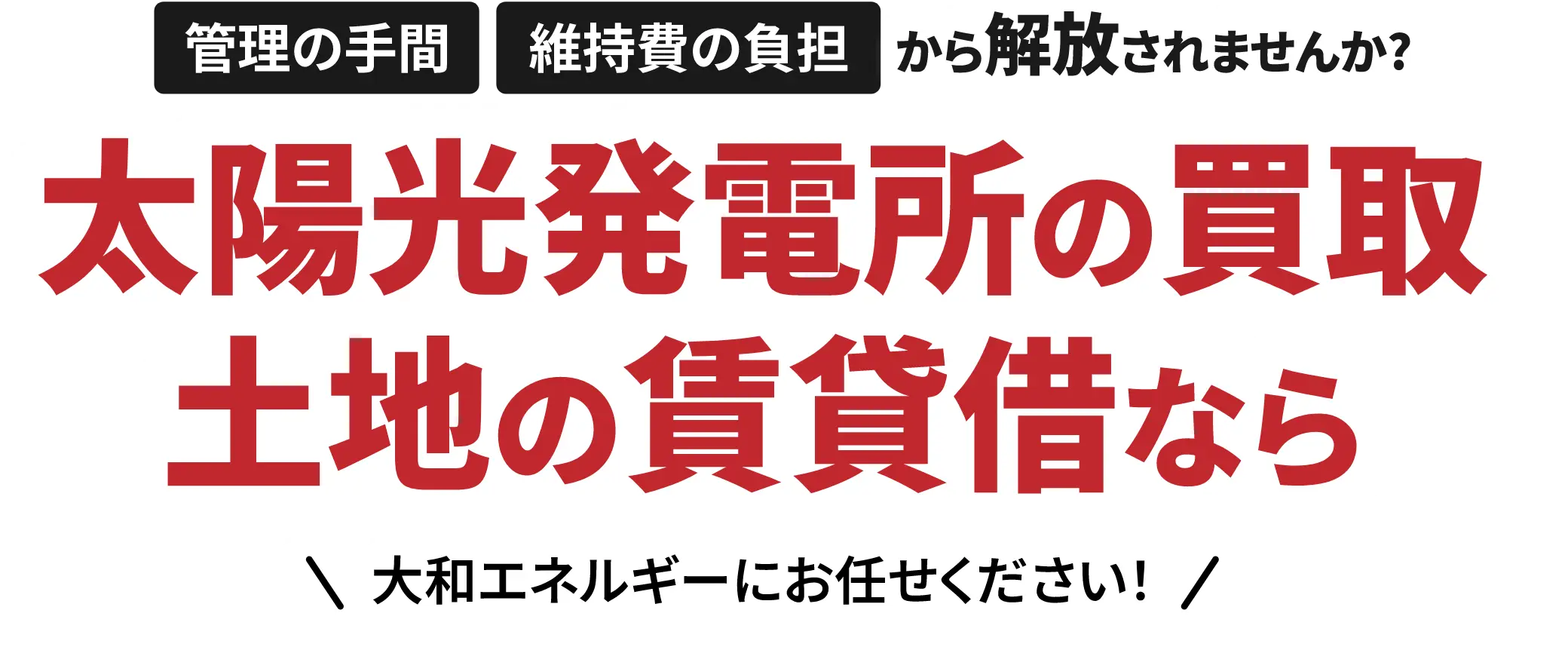 管理の手間・維持費の負担から解放されませんか? 太陽光発電所の買取、土地の賃貸借なら大和エネルギーにお任せください! | タイトル画像